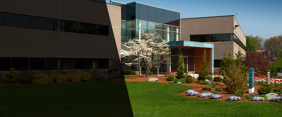 Parksley Landscapers