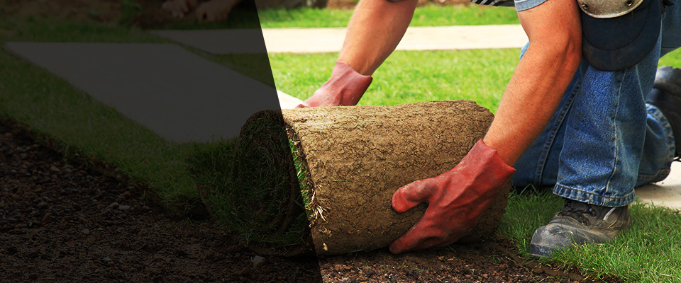 Parksley Landscapers